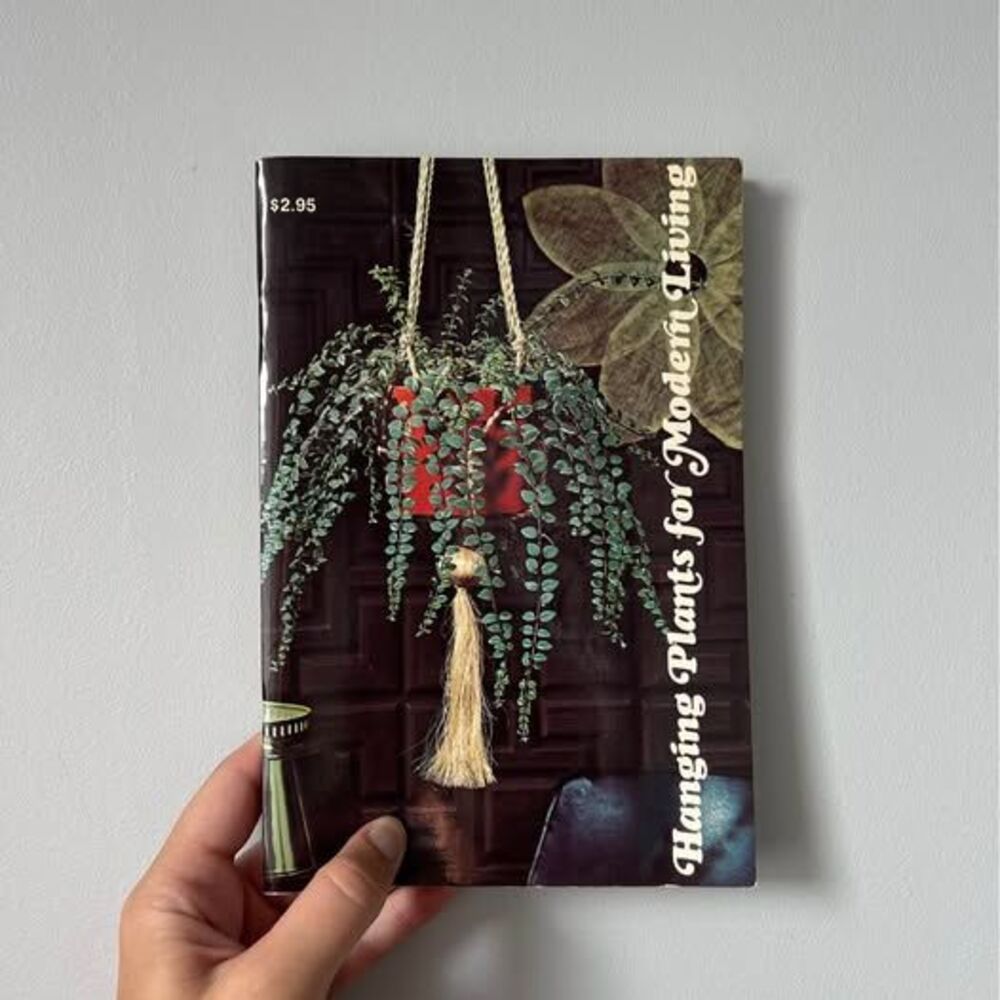 Hanging Plants for Modern Living